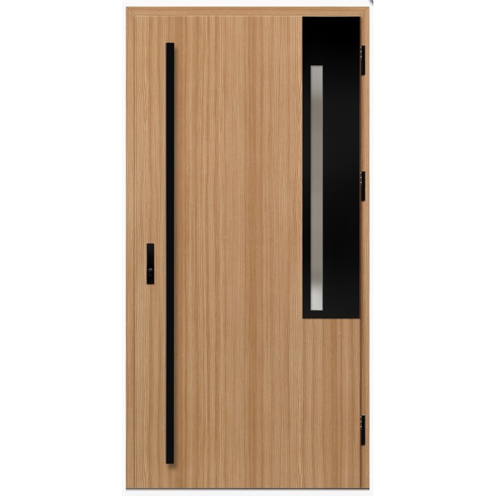Porte d'entrée en acier avec cadre en aluminium FRYBURG 1 pin 90*200 -100*200 cm