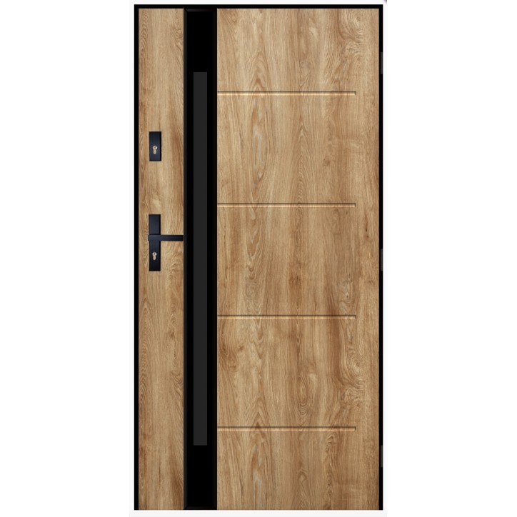 Porte d'entrée DORADE en turner 100x200 cm