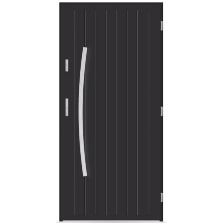Porte d'entrée Loris 80/90/100cm en acier