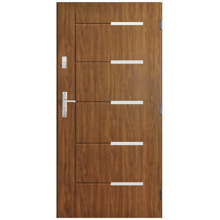 Porte d'entrée CANCUN  80 cm en acier inoxydable avec tirant en plusieurs couleurs