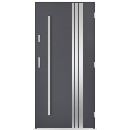 Porte d'entrée Christophe  80/90/100cm en acier