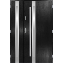 Porte d'entrée double GALILÉE 120x200 cm noir