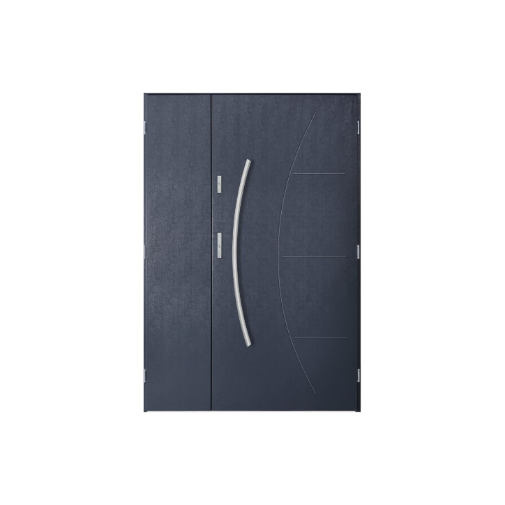 Porte d'entrée double LYNX 130x200 cm anthracite