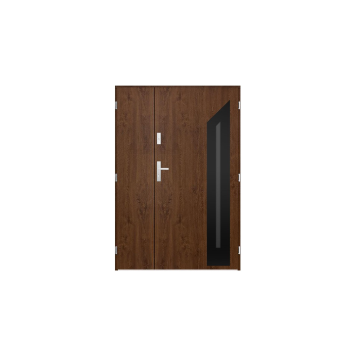 Porte d'entrée double GASPARD 120x200 cm