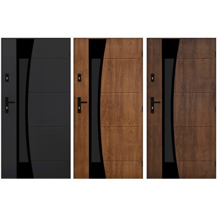 Porte d'entrée SATURNE 02 100 cm 72 mm en acier inoxydable en 3 couleurs