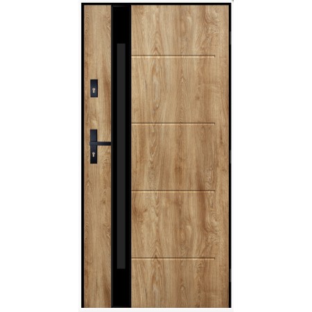 Porte d'entrée DORADE en turner 100x200 cm