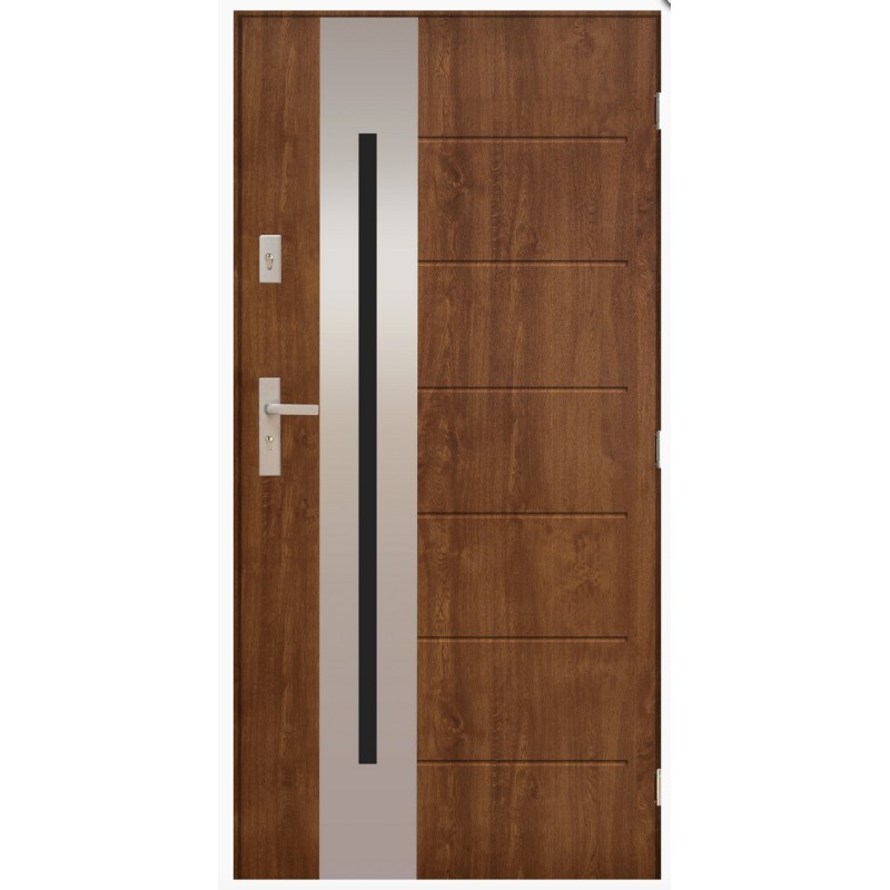 Porte d'entrée FANYON 90 cm 72 mm en acier inoxydable en 3 couleurs