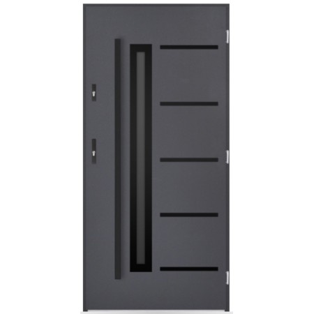 Porte d'entrée Constance  80/90/100cm en acier