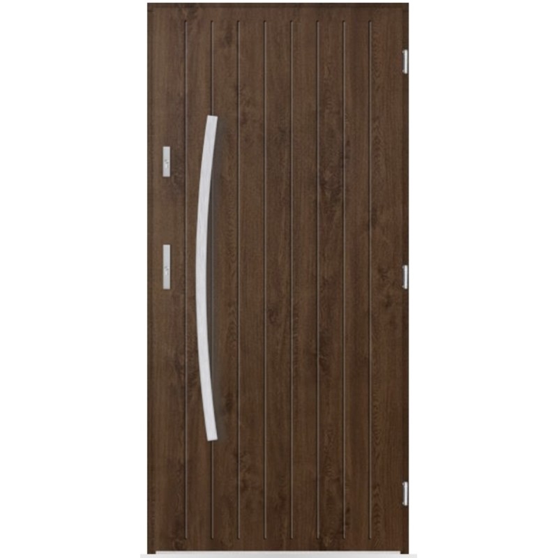 Porte d'entrée Loris 80/90/100cm en acier