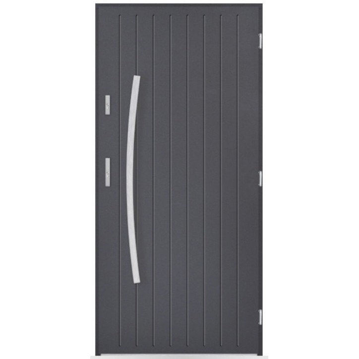 Porte d'entrée Loris 80/90/100cm en acier