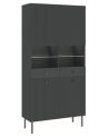 Vitrine VIENA 4D Antracita
