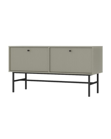 Meuble TV Kyoto vert eucalyptus 120 cm 2 portes