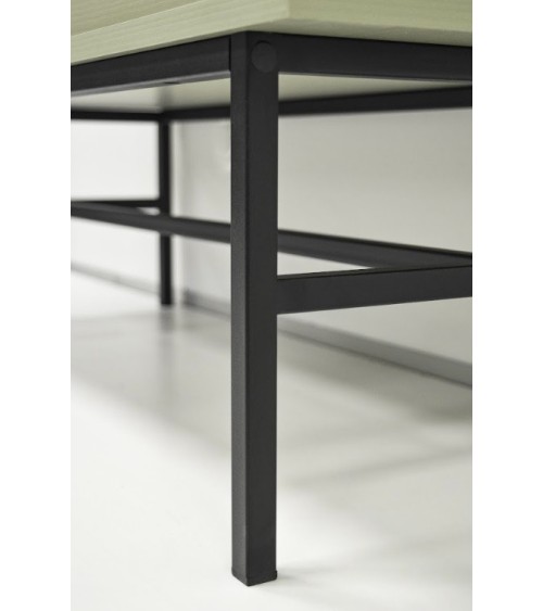 Meuble TV Kyoto vert eucalyptus 120 cm 2 portes