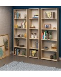 Bibliothèque CLARITA 56 cm + 38 cm + 56 cm bois