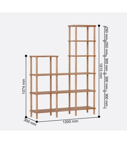 Bibliothèque  DEMONTHA 120 x 161 CM hêtre