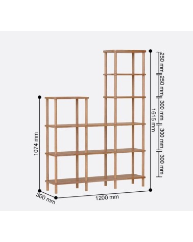Bibliothèque  DEMONTHA 120 x 161 CM hêtre