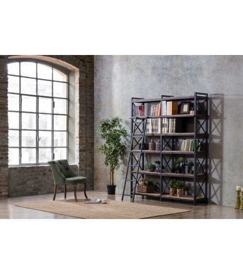 Bibliothèque CAYANNE 160 cm noyer avec échelle 25 cm