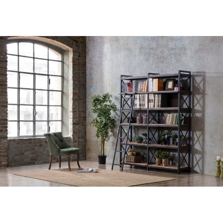 Bibliothèque CAYANNE 160 cm noyer avec échelle 25 cm