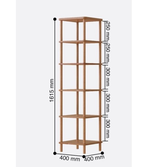 Bibliothèque DEMONTHA 40 x 162 CM hêtre