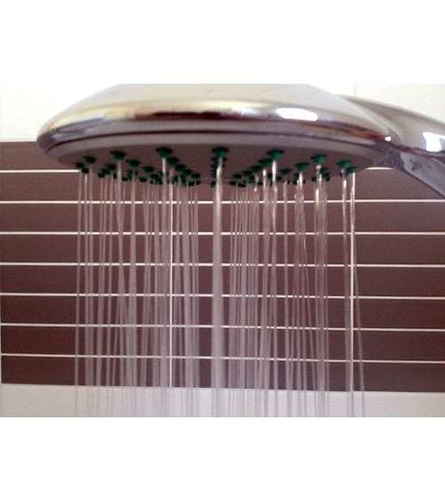 Pommeau de douche VATE