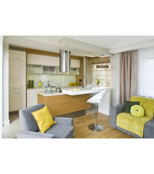 Hotte aspirante îlot ORWICK LUXE NOIRE