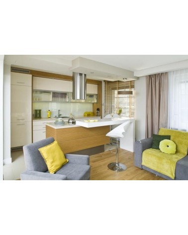 Hotte aspirante îlot ORWICK LUXE NOIRE