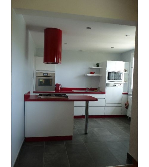 Hotte aspirante îlot ORWICK ROUGE 40 cm