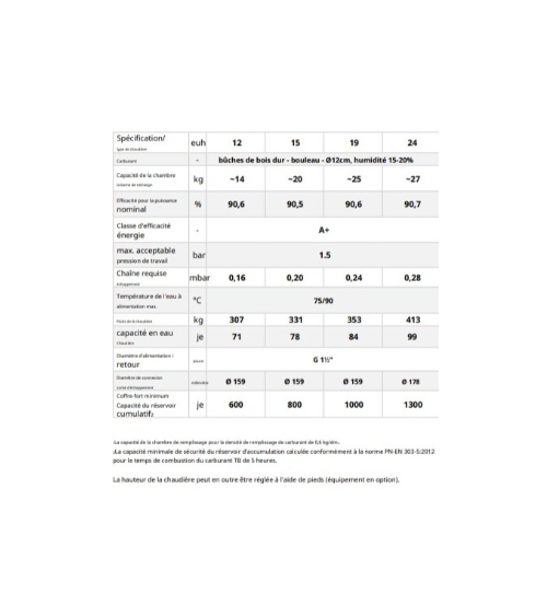 Chaudière à bois FIREWOOD 12 KW