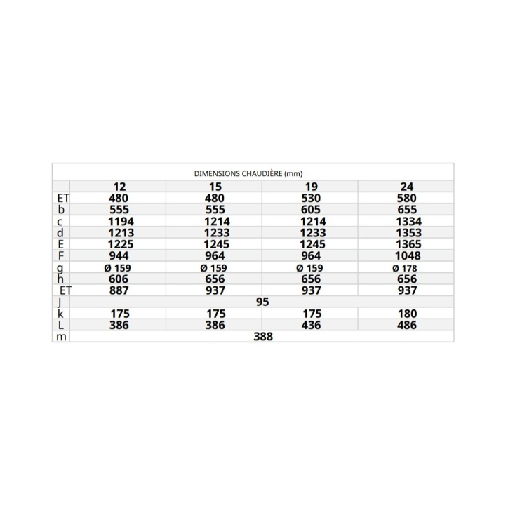 Chaudière à bois FIREWOOD 12 KW