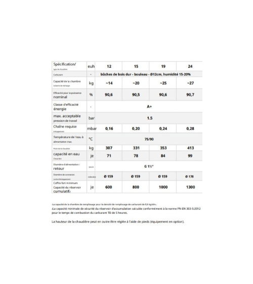 Chaudière à bois FIREWOOD 19 KW