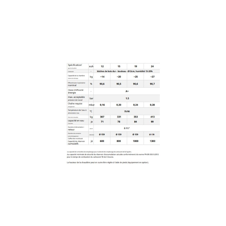 Chaudière à bois FIREWOOD 19 KW