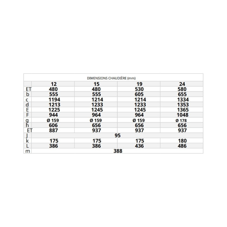 Chaudière à bois FIREWOOD 19 KW