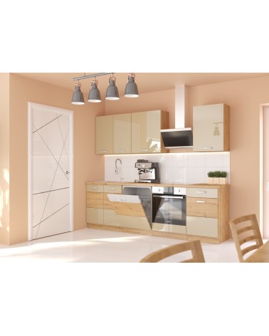 Ensemble cuisine ARTISAN cappuccino brillant/chêne artisan 250 cm