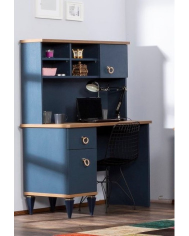 Bureau  MOSS   bleu