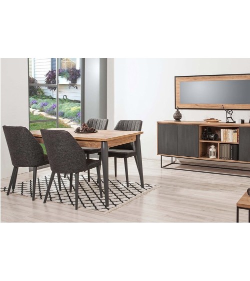 Salle à manger MEDULA 752 bois et gris