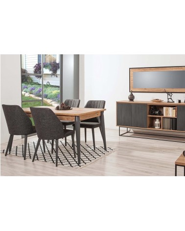 Salle à manger MEDULA 752 bois et gris