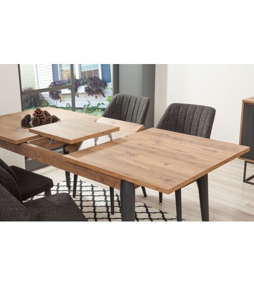 Salle à manger MEDULA 752 bois et gris