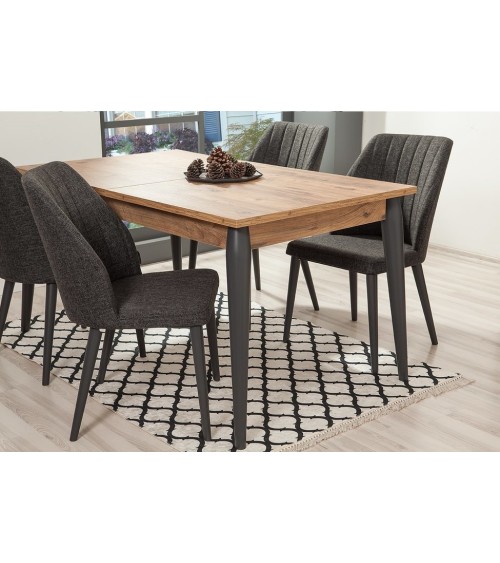 Salle à manger MEDULA 752 bois et gris