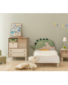 Chambre d'enfant DINOSAURE