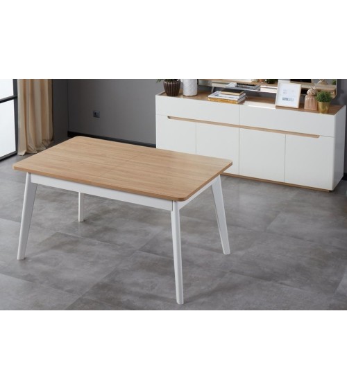 Salle à manger LYRE blanc et bois