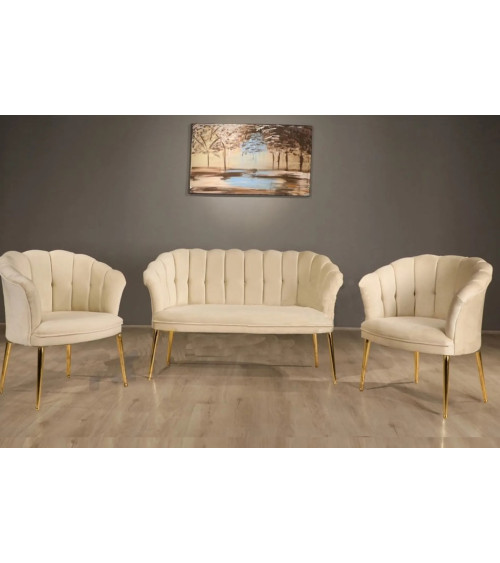 Ensemble 1 canapé 2 places et 2 fauteuils ARMEN DAISY 3 en plusieurs couleurs