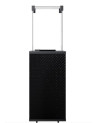 Aquecedor de gás externo PATIO MINI automático 8,2 KW