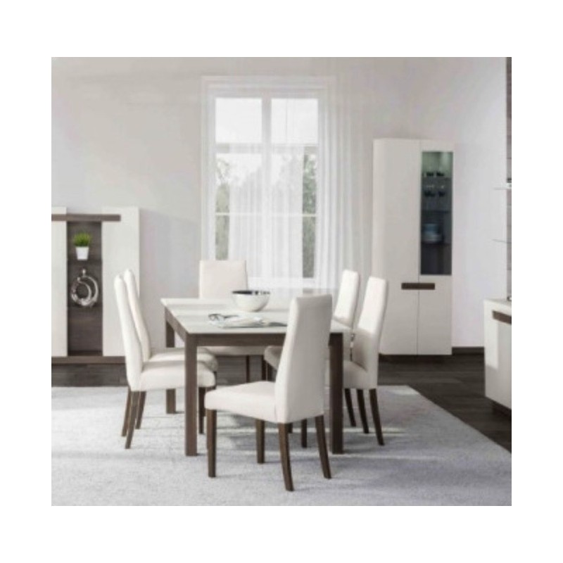Table de salon design