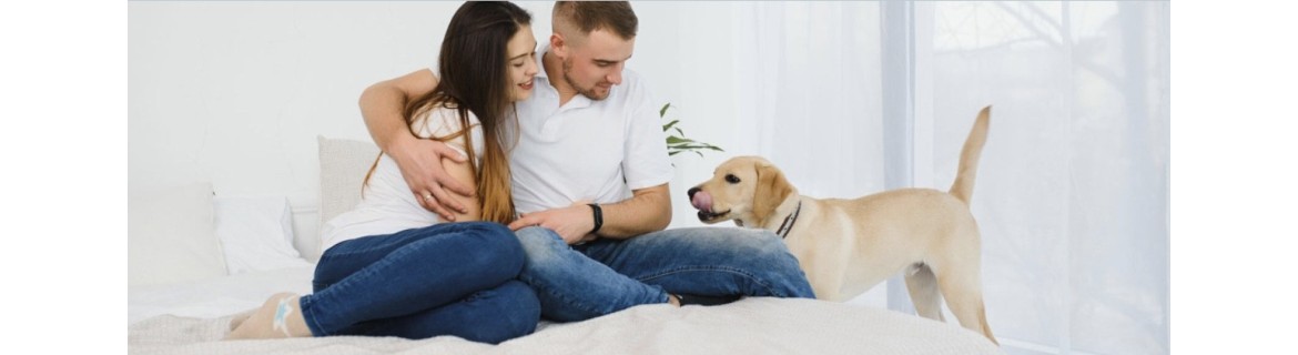 chambre design enfants et adultes